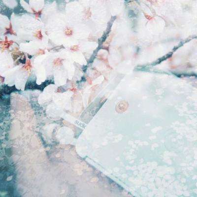 凤凰彩票appapp下载